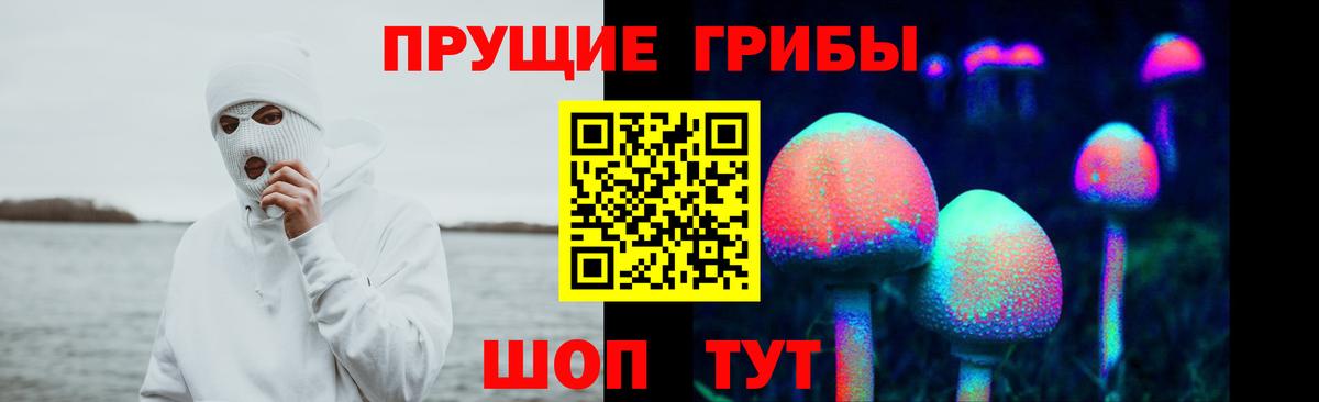 Псилоцибиновые грибы Psilocybine cubensis Альметьевск